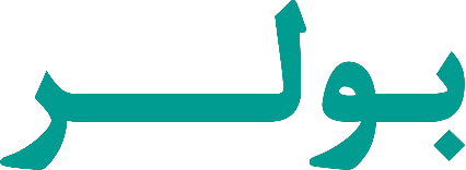 Logo Corporation